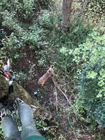 IMG_8822.jpeg