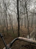 IMG_8212.jpeg