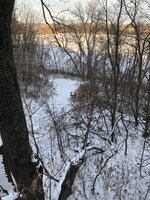 IMG_4994.jpeg