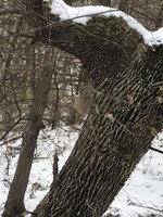 IMG_4988.jpeg