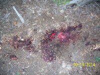 100_2622.JPG