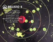 Ballistic-X-Export-2024-02-18 18_15_17.285203.jpg
