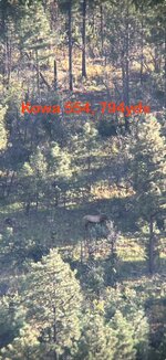 4837A808-32A0-4FE8-AD88-1A4B9C124046.jpeg