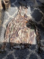IMG_7471.jpeg
