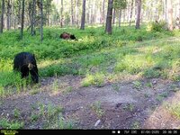 IMG_9443 - Copy.JPG