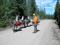 Charlie trail head.jpg
