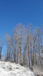 20240217_094759.jpg