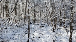 20240217_093908.jpg