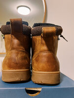 lems-0003.jpg