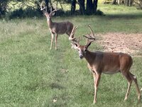 IMG_2034.jpeg IMG_2034.jpeg