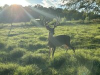 IMG_2019.jpeg IMG_2019.jpeg