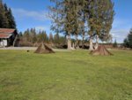 IMG_20190301_125026.jpg