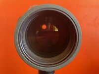 IMG_6915.jpeg
