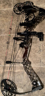 IMG_7454.jpeg