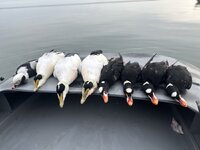 IMG_9045.jpeg