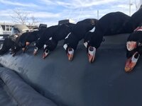 IMG_1878.jpeg