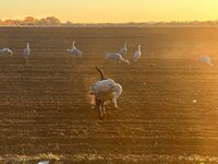 IMG_7893.jpeg