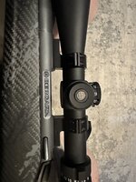 IMG_1179.jpeg