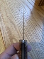 IMG_7145.jpeg