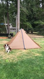 IMG_2624.jpeg