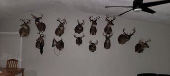 20240221_040727.jpg