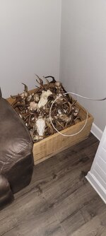 20240221_040754.jpg