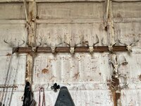 IMG_5651.jpeg
