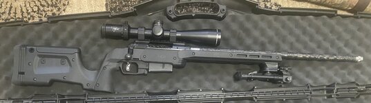 IMG_2062.jpeg