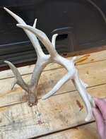 IMG_9243.jpeg