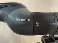 IMG_6923.jpeg