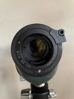 IMG_6924.jpeg