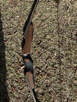 IMG_2439.jpeg