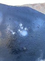 IMG_2753.jpeg