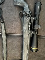 IMG_1185.jpeg