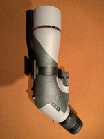 IMG_2901.jpeg