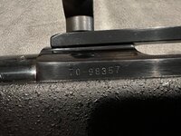 IMG_2640.jpeg