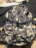 IMG_3773.jpeg