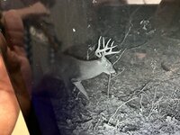 IMG_0236.jpeg