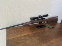 IMG_3730.jpeg IMG_3730.jpeg