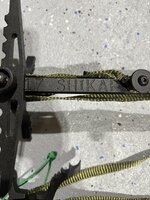 IMG_8916.jpeg