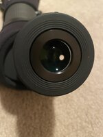 IMG_3128.jpeg