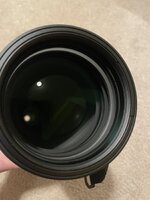 IMG_3129.jpeg