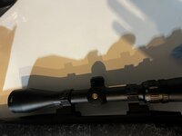 IMG_5556.jpeg