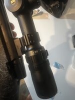 IMG_5557.jpeg