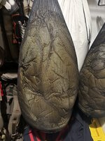 IMG_3853.jpeg
