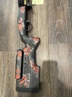 IMG_6582.jpeg