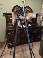 IMG_5680.jpeg IMG_5680.jpeg