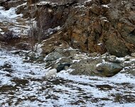 IMG_9487.jpeg