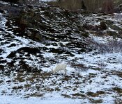 IMG_9488.jpeg