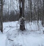 IMG_6813.jpeg